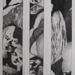 tranches de sommeil - gravures - 20 à 28x75 - 2014