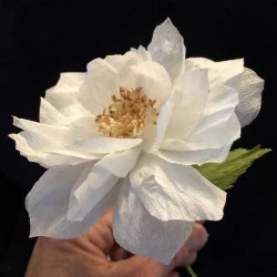 Rose de papier crépon - Une rose ancienne réalisée en pétales délicatement découpés et formés dans du papier crépon - Atelier Anecdotes 