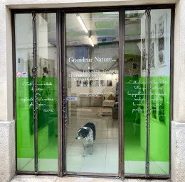 Vitrine de "GRANDEUR NATURE" - <p>Ici les arts célèbrent la Nature et la défendent…</p> - Catherine Stoll-Simon
