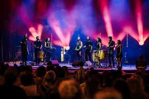 Affiche Fête du Kiwi