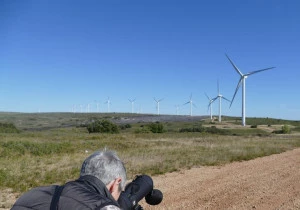 Affiche Sortie « Découverte d'un parc éolien »