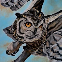 TEMPERANCE - VOL D UN HIBOU - PASTEL SUR PAPIER - PRIME 2023 3 PRIX ART ANIMALIER - 450 EUROS 