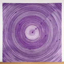 encre 24 - Dessin : 100 x100 cm, plume et encre violet tendresse, papier 160 gr, bois, 2023 - Julien NICOLAS 