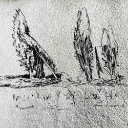 `Sans titre - Encre sur papier - Anna Camille 