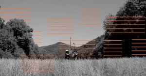 Affiche Antenae / Festival riverrun, #8