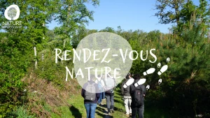 Affiche 29/04 - Yoga des 4 éléments en pleine nature