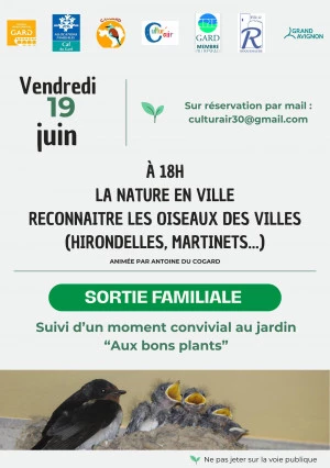Affiche NATURE EN VILLE: A la découverte des oiseaux, hirondelles et martinets