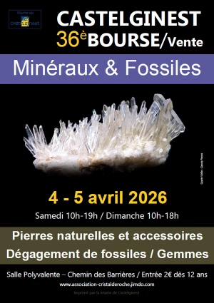 Affiche 36ème Bourse vente minéraux fossiles et pierres naturelles