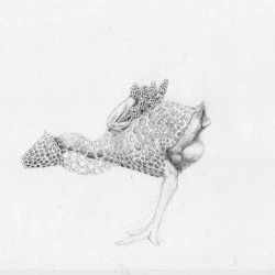  Série : Poulet champignon - 2020, Dessin, crayon graphite, 30x28 cm - DR 