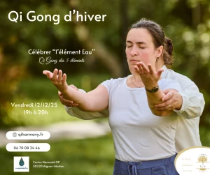 Affiche Stage qi gong des 5 éléments 