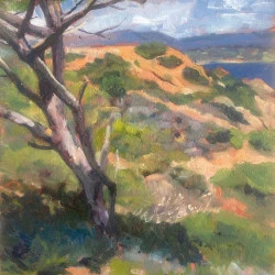 Luz - Huile 20 x 30 cm