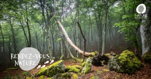 Affiche 25/04 - Voyage au cœur de la Réserve Naturelle Régionale du Pibeste-Aoulhe