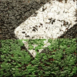ligne blanche sur fond vert - Matière brute et peinture acrylique - photo 
