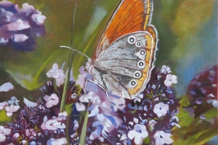 Séduction - Peinture représentant un papillon (fadet de la mélique) huile sur toile 30 x 30 cm. - Photo personnelle 