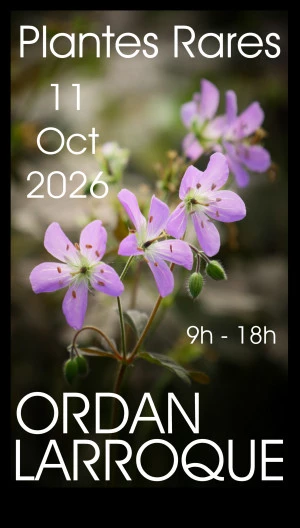 Affiche 24ème Journée des Plantes Rares