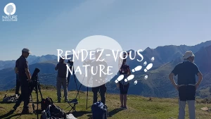 Affiche Sortie nature - A la découverte des rapaces nocturnes