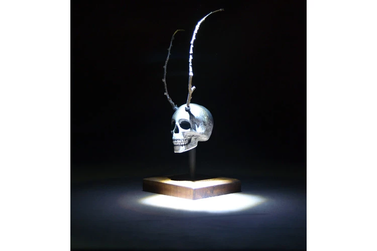 Vanitas 01 - Sculpture sur socle en bois ciré. Bois, plâtre et métal. - Bayoans 