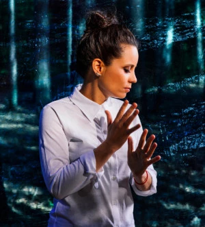 Affiche ANNE PACEO/ BRIGHT SHADOWS