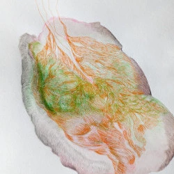 Little Island - Encre et technique mixte sur papier - 2025 - Sandrine Ginisty 