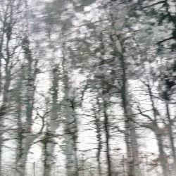 Sans titre - photographie dimensions variables - ©odileboutet 