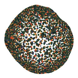 Petits Pois Carottes - 242 x 242 mm - feutres de couleurs sur papier - Julien Lauber 