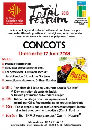 Affiche TOTAL FESTUM CONCOTS