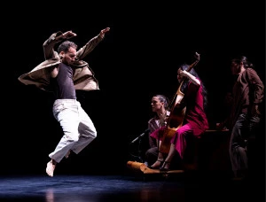 Affiche Phénix - Cie Käfig / Mourad Merzouki