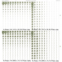 Kippus-bibliothèque 2025 - PC participant de la constitution d'une bibliothèque des Kippus - S&B 