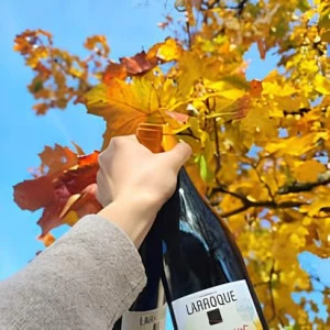 Affiche Le Domaine de Larroque vous ouvre ses vignes le 6 juin ! [Quinzaine des produits Bio et Régionaux]
