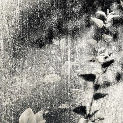 ADLS 1855 - Au-delà de la serre