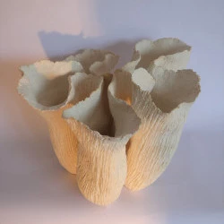 ORGANISME BLANC