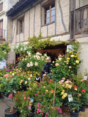 Affiche Les Créneaux Fleuris, marché aux fleurs du 1er mai