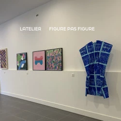 Comme une fleur : du 19 avril au 4 mai - exposition février mars 2023 avec : Fabien Boitard, Marie Ducaté, Eva Galtier, Florent Groc, Alain Léonési, Peter Lokos, Lucas Mancione, Pascal Renard, Hazel Ann Watling - karine barrandon 