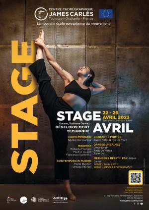 Affiche Stage Danses, Toulouse danse ! Édition Avril 2023