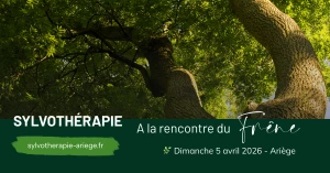 Affiche Sylvothérapie - Une journée en forêt à la rencontre du Frêne