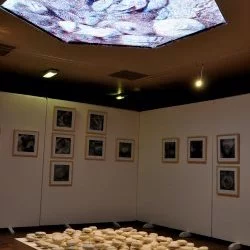 " Ailleurs est aussi ici", Espace Saint Cyprien, Toulouse - Installation, galets blancs en cire, dessins fusain sur paier de soie résiné, 2017 - Bernard Rousseau 