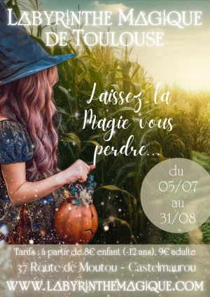 Affiche Labyrinthe Magique de Toulouse