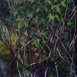 Lierre-étoile - acrylique sur toile - élise eid 