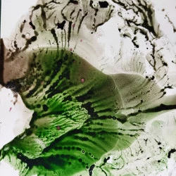 Fond de palette - monotype encre sur papier à partir de matériel de récupération