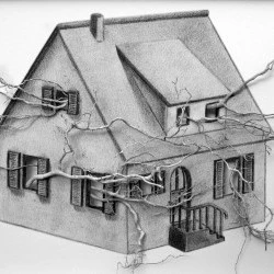 Fantômes des origines - Format 40x30 cm - Dessin graphite, encre blanche, racines de mon territoire, dans cadre vitrine bois - 2025 - Zabel Charrié 