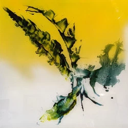 Plexi'Dann N 11 - Peinture sur plexiglass
