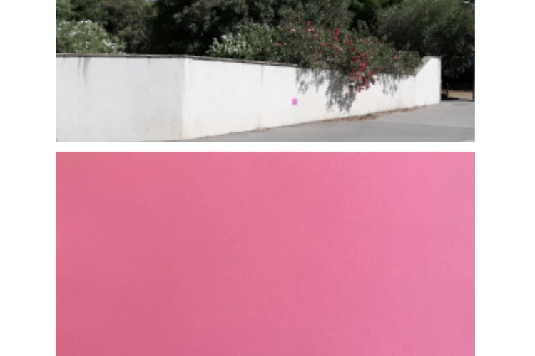 Les flamants roses - « Les donnés à voir », Montpellier, quartier Sabines, 2024. Édition de 15 cartels disposés dans l'espace public. Détail « Les flamants roses sont gris à la naissance ».