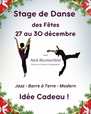 Affiche Stage de Danse vacances des Fêtes de Noël - Une Idée cadeau !