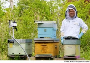 Les citoyens pourront investir dans l'entreprise BeeGuard qui développe une solution de ruches connectées