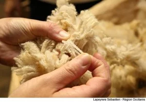 La transformation de la laine, un savoir-faire ancestral conservé