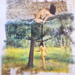 Homéostasie à la tyrolienne - Images vidéo transférées à l'eau sur papier Jiaxuan après impression jet d'encre - Christina Simandirakis 