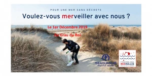 Affiche Collecte de déchets sauvages de la passe de Abimes au bois du Boucanet/Grau du Roi