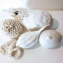 Le corps de l'Autre - Porcelaines - Sandrine Ginisty 