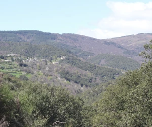 Affiche À la découverte du vallon de St-Martin-de-Lansuscle, tous les sens en éveil !