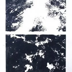 La forêt à travers les arbres - Monoprint,69x49,2017, La forêt à travers les arbres